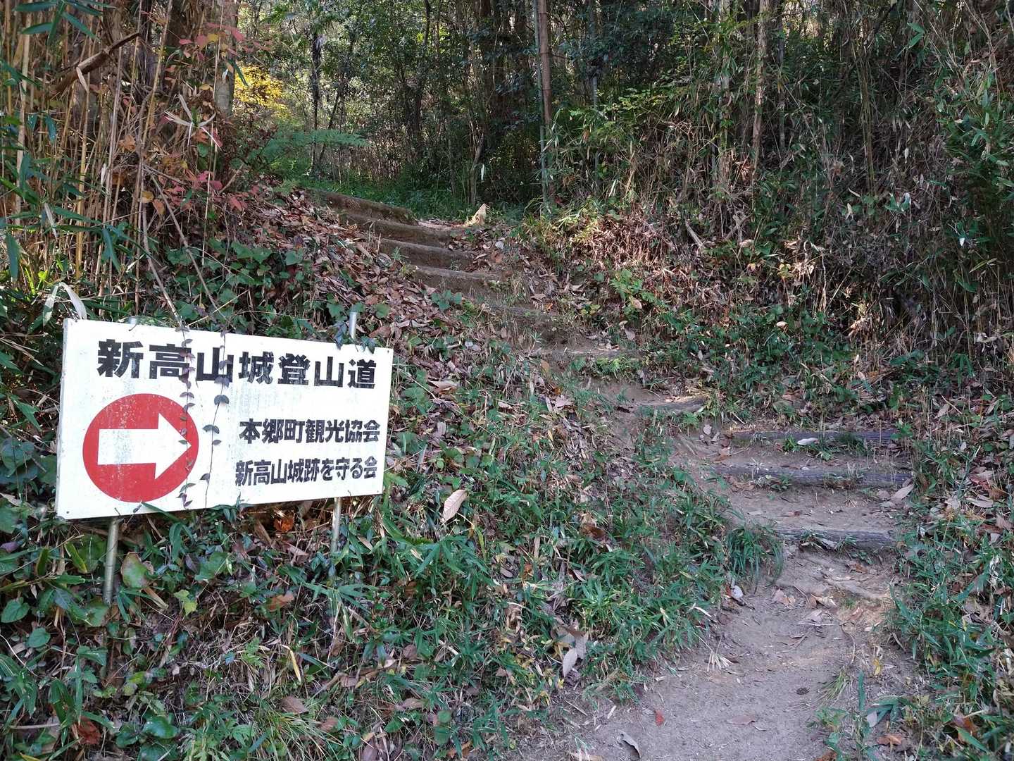 降りてきました。