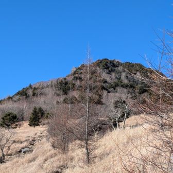 今日の目的地にｗｋｗｋ