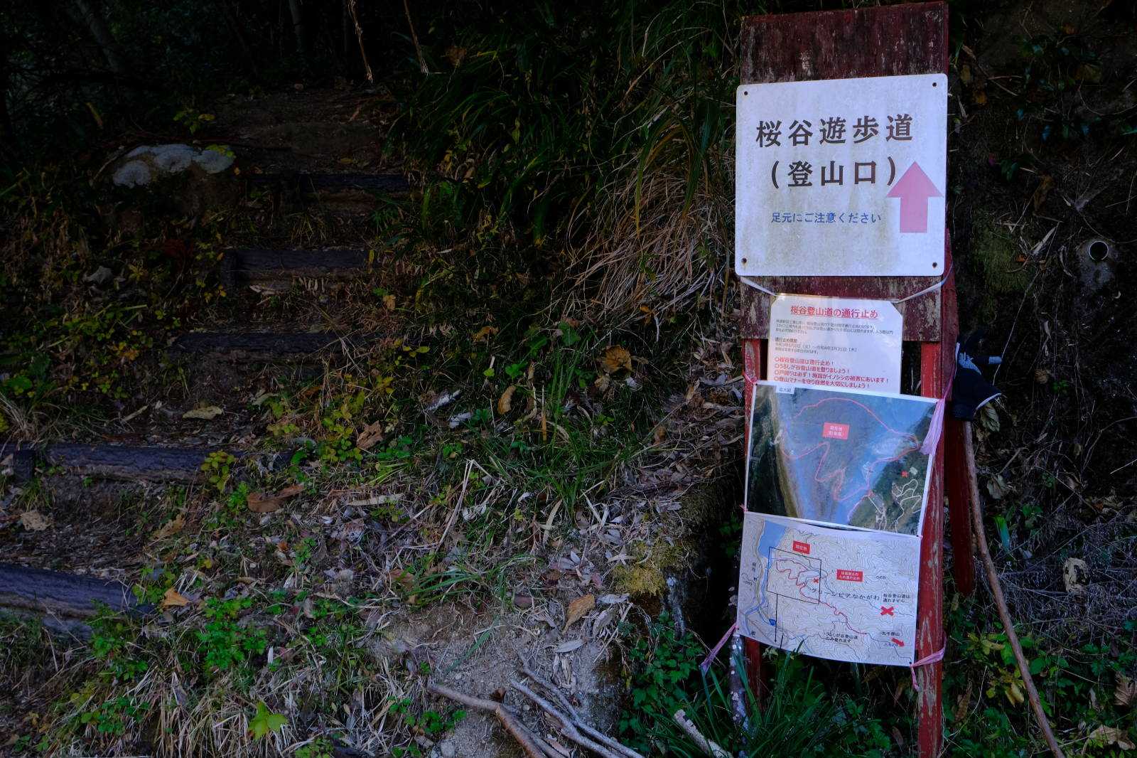 桜谷登山口の標識、登山口の確認だけで、通行止めの張り紙を見落としてしまいました
