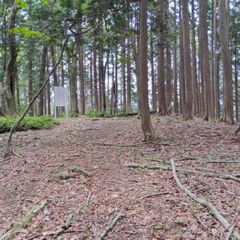 天狗ヶ城を引きで全体を撮る。