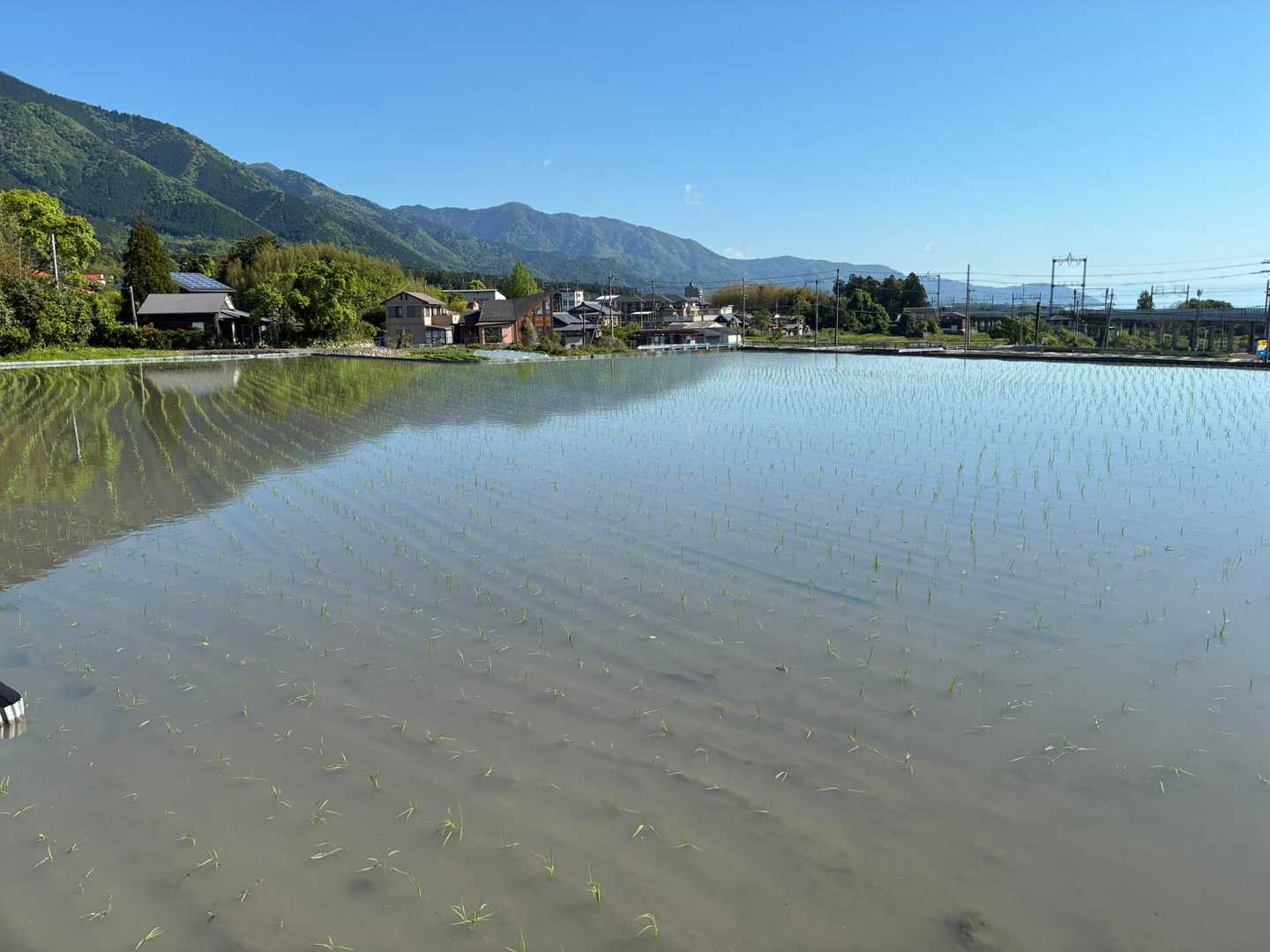蓬莱駅-蓬莱山登山コース入口-小女郎峠-蓬莱山-打見山-天 縦走コースの写真