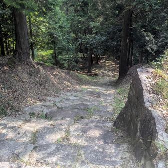 三十六計逃げるに如かず

もはや得意技✨️

YAMAPではルートが無いけど、エスケープルートの石階段で下って帰ります