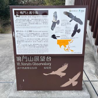 ダックス襲われないようにしないと、