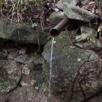 水はちょろちょろ。