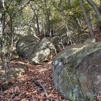 大国見山はピラミッドの形をしていると言われますが、ピラミッドなんじゃない？