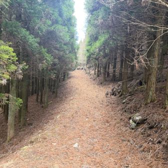 こっちじゃなかった