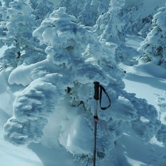 身長130cmくらいのスノモンキッズ