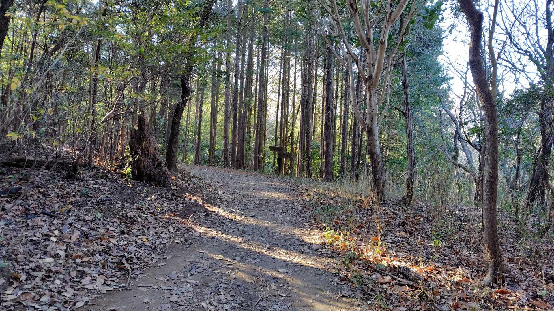 小野町分岐