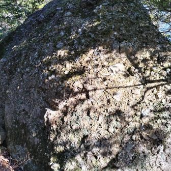 この岩の上が頂上？？違うな。どこかわからん😅