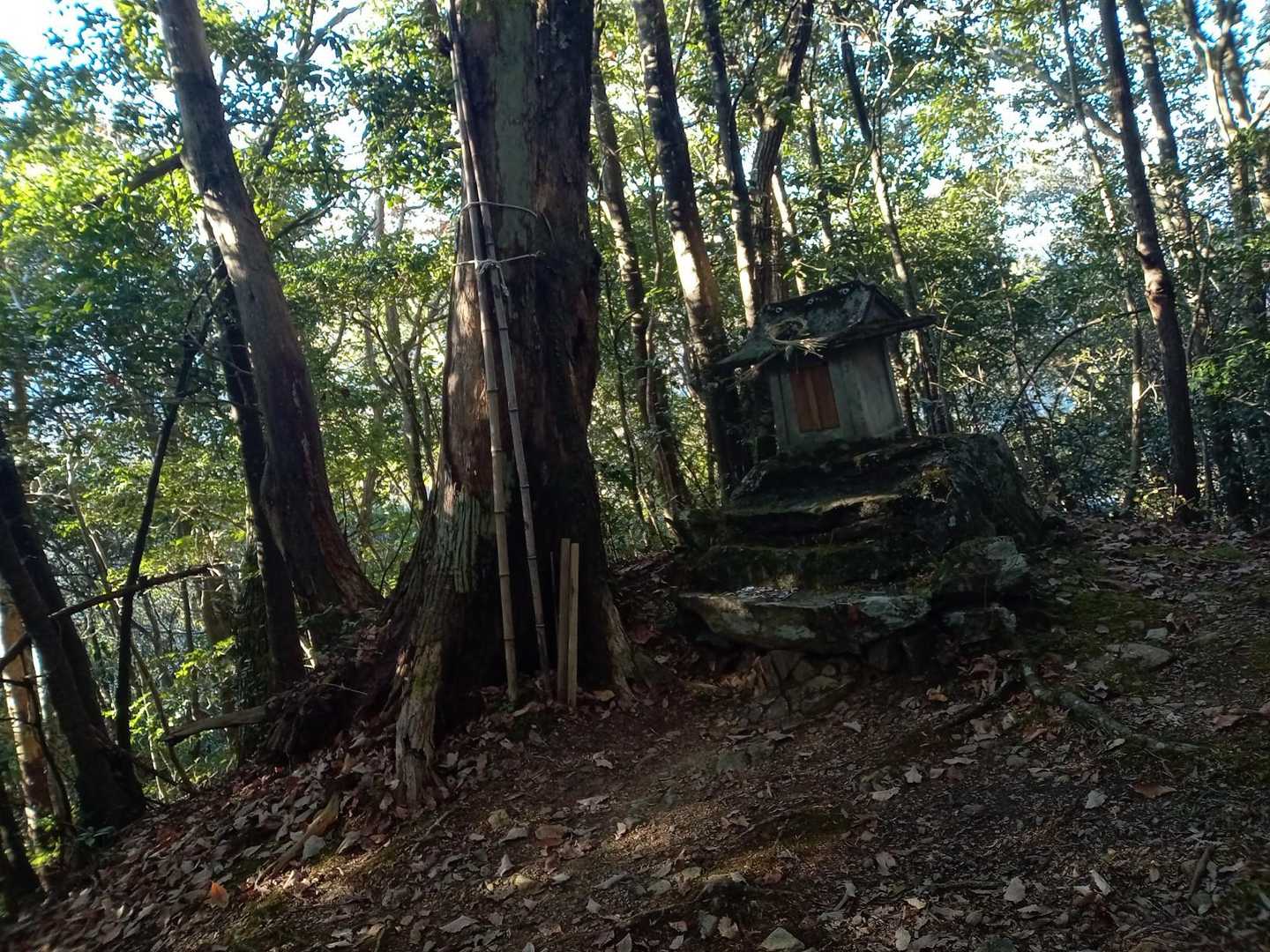 一番高い場所にあった祠
お詣りしておきます🙏