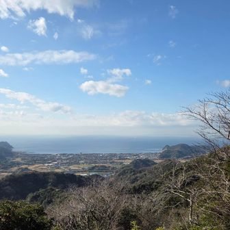展望台から東京湾(浦賀水道)と大房岬
