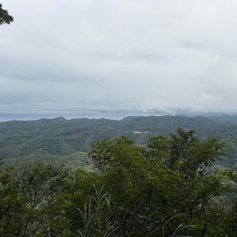 景色は先程の展望台のほうが圧倒的に良いです