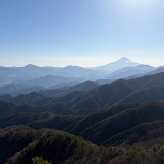 姥子山から見える富士山眺望🗻が好みでした