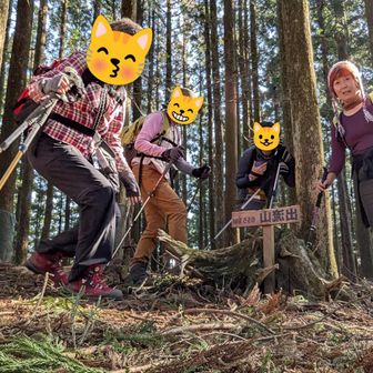 何気ない山頂です