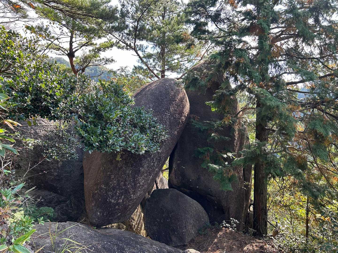 玉峰山 往復コースの写真