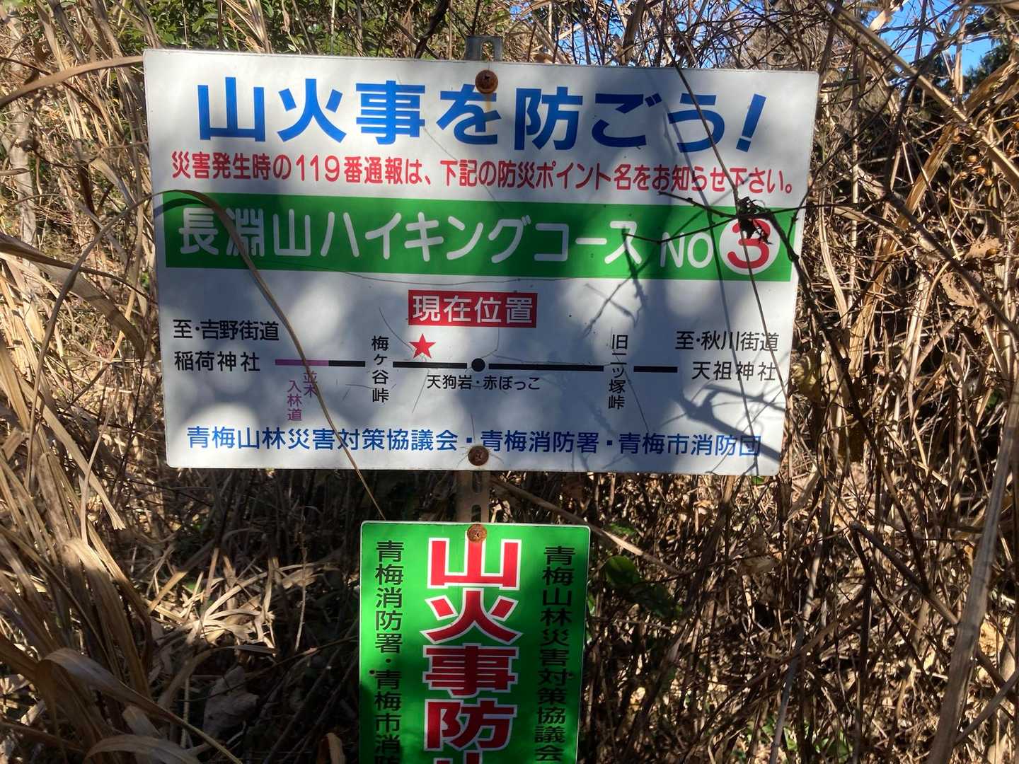 ようやく赤ぼっこの文字を見つけてホッとする