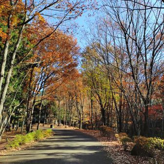 スタートはこんな感じで、のんびり歩きました