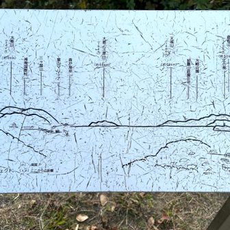 雲がなければ富士山🗻も見れるんですよね。
