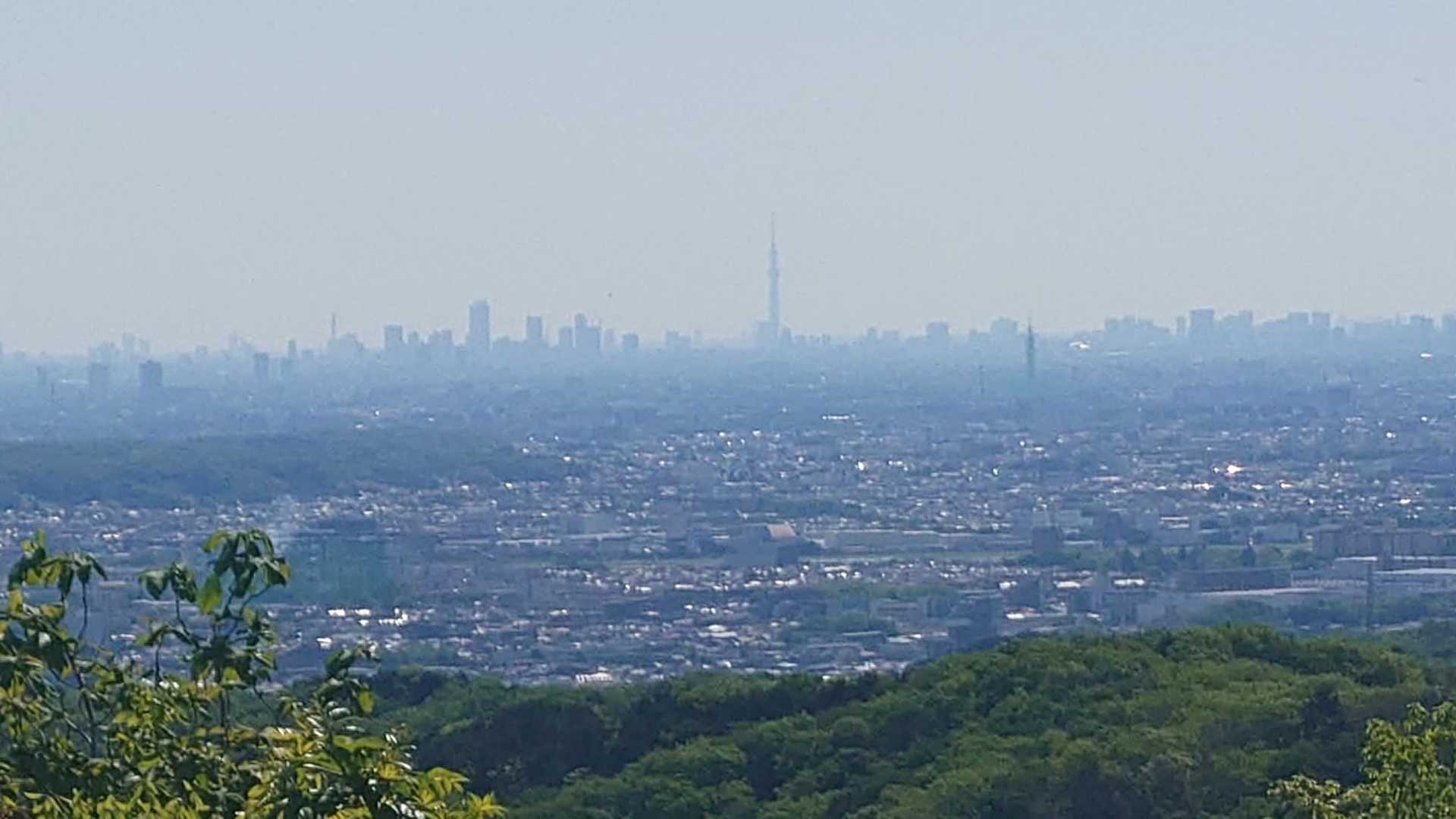 スカイツリー見えました