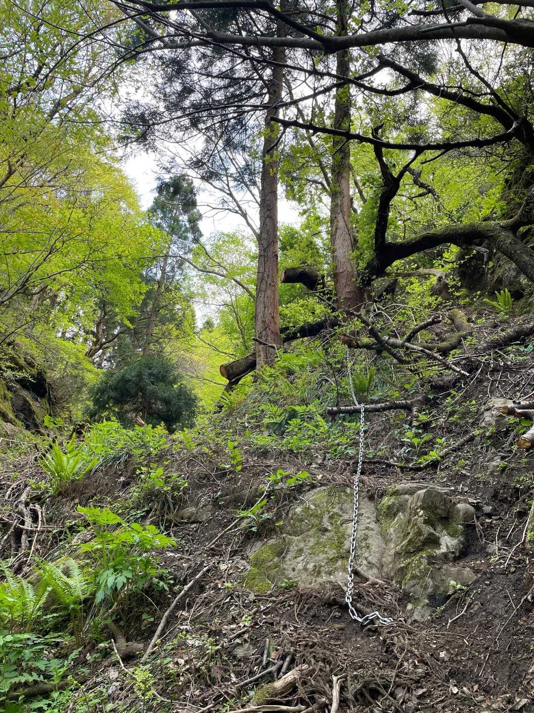 鎖場あり