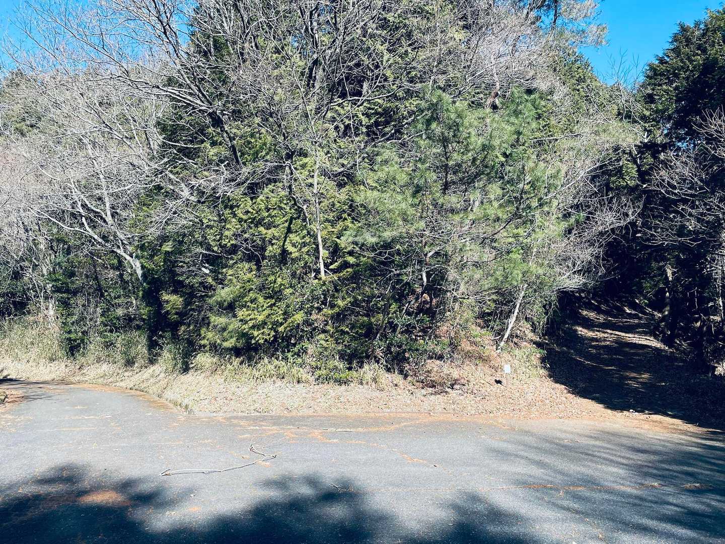 しばらくして登山道が二手に✌️
思うがままに右へ➡️