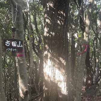 古田山山頂