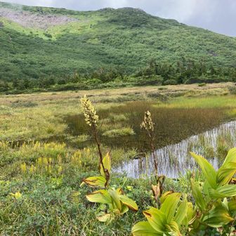 下山の天狗っ原は大雨後で池塘が現れてました。