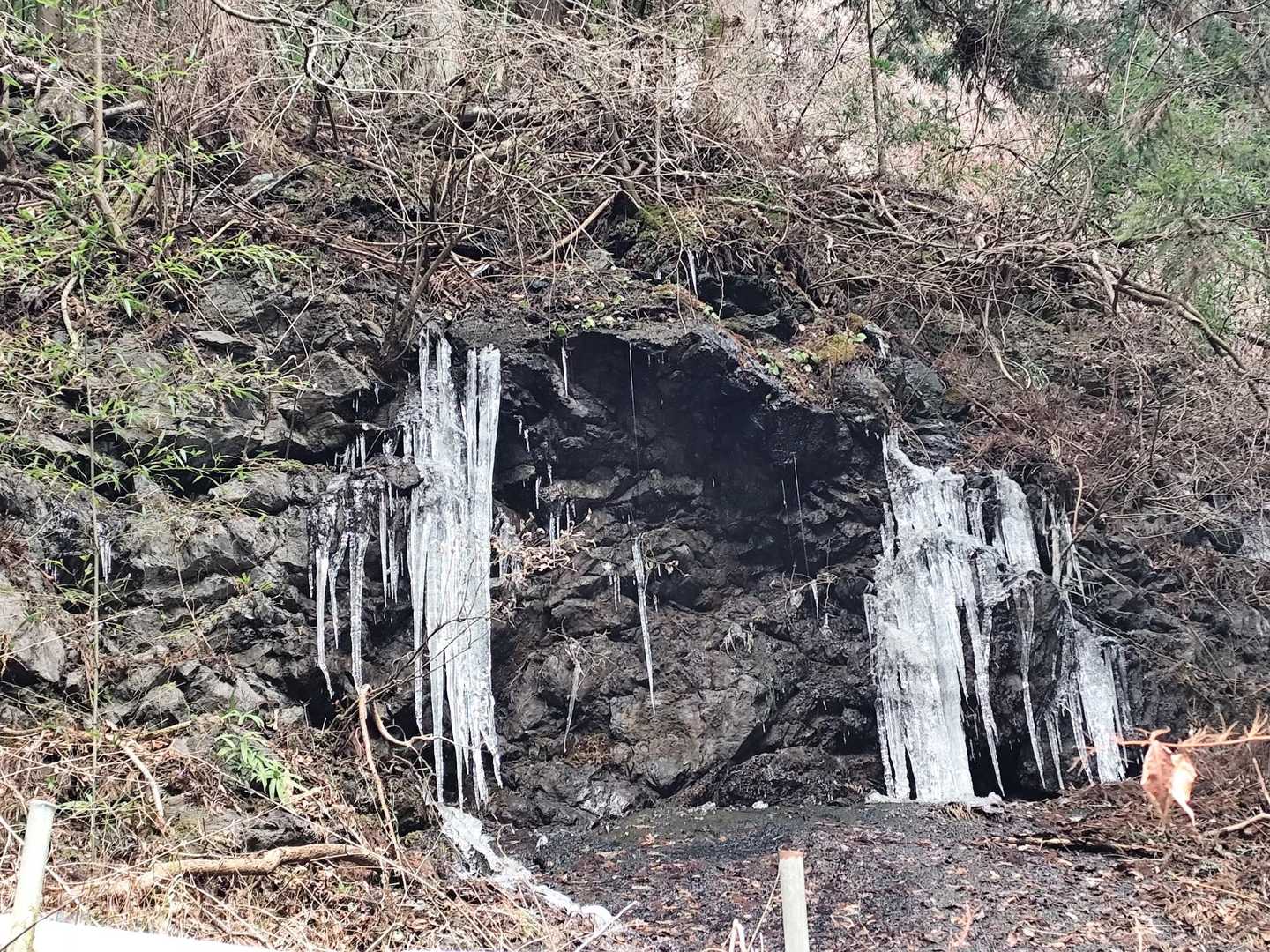 桧沢岳登山口-桧沢岳 周回コースの写真