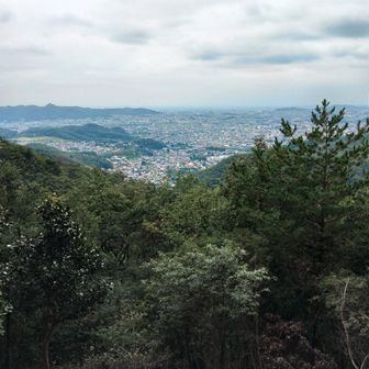 展望台から桐生市の町