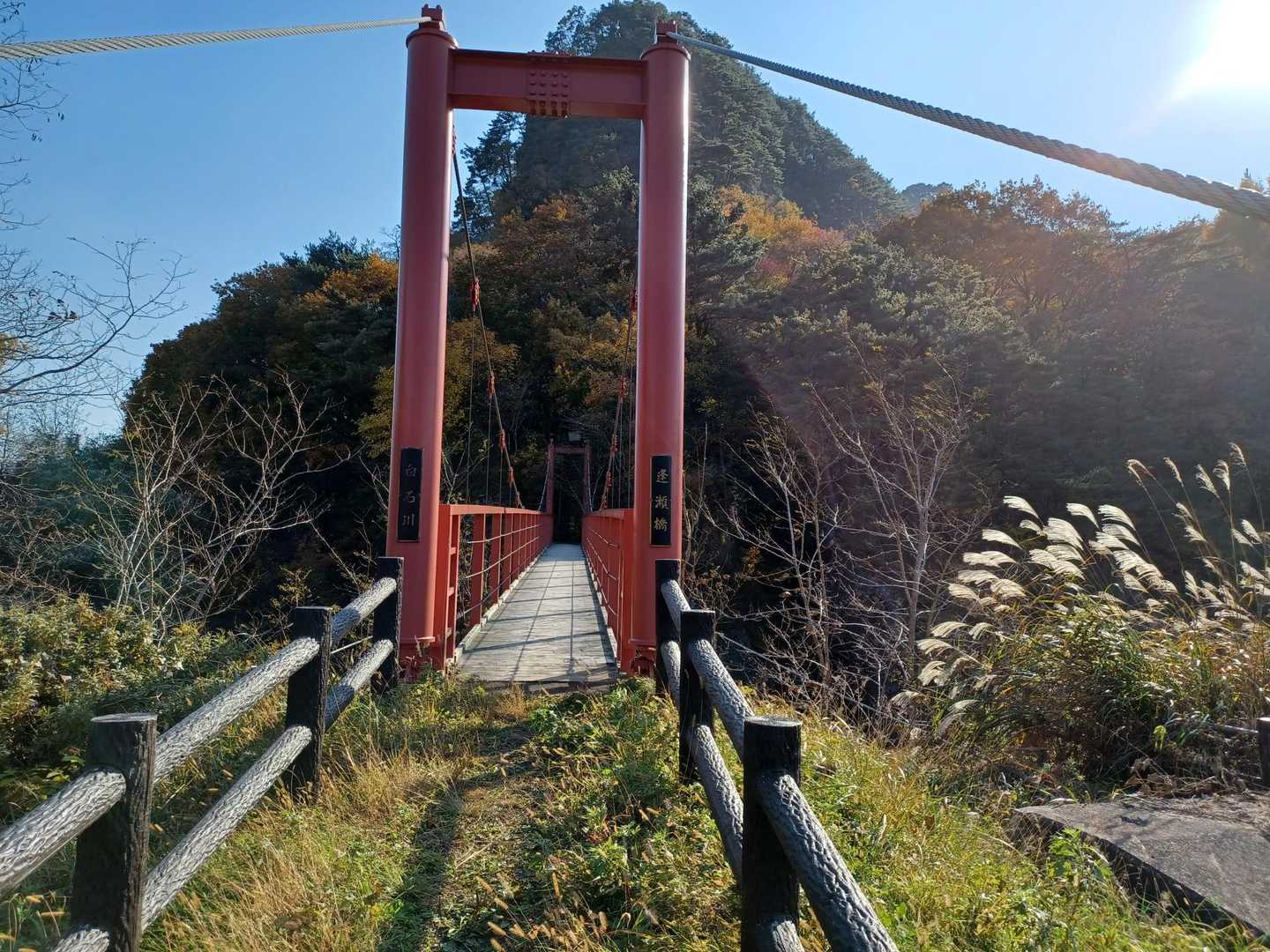 随分時は流れ、久々の傾城の森。⛰️🍁昔を思いながら🚶‍♀️楽しいハイキングが出来ました。
ありがとうございました。🙏🙇‍♀️