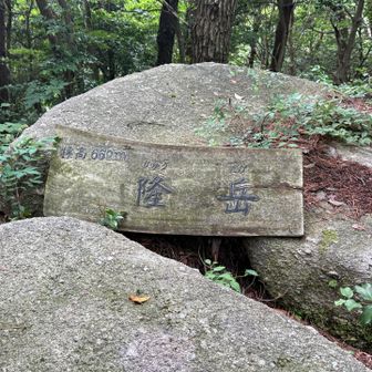 隆岳に到着。