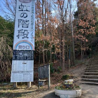 有志の方々で作成された階段登山道