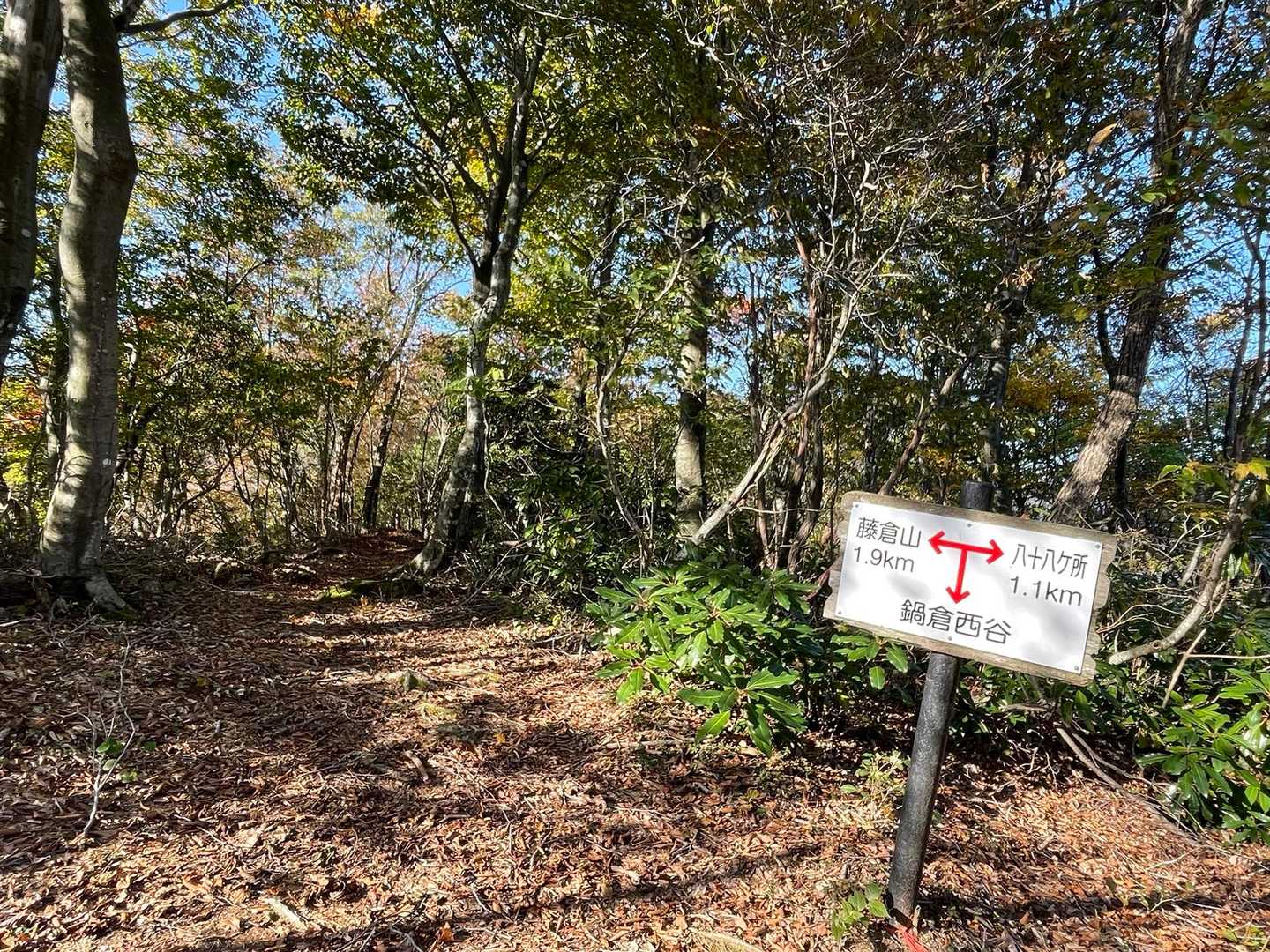 鍋倉山手前の分岐