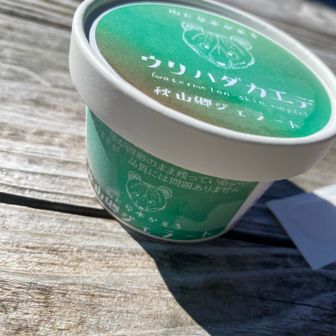 気温あがってアイスが美味し♡
お昼ŧ‹”ŧ‹”( ‘ч’ )して山頂へ～