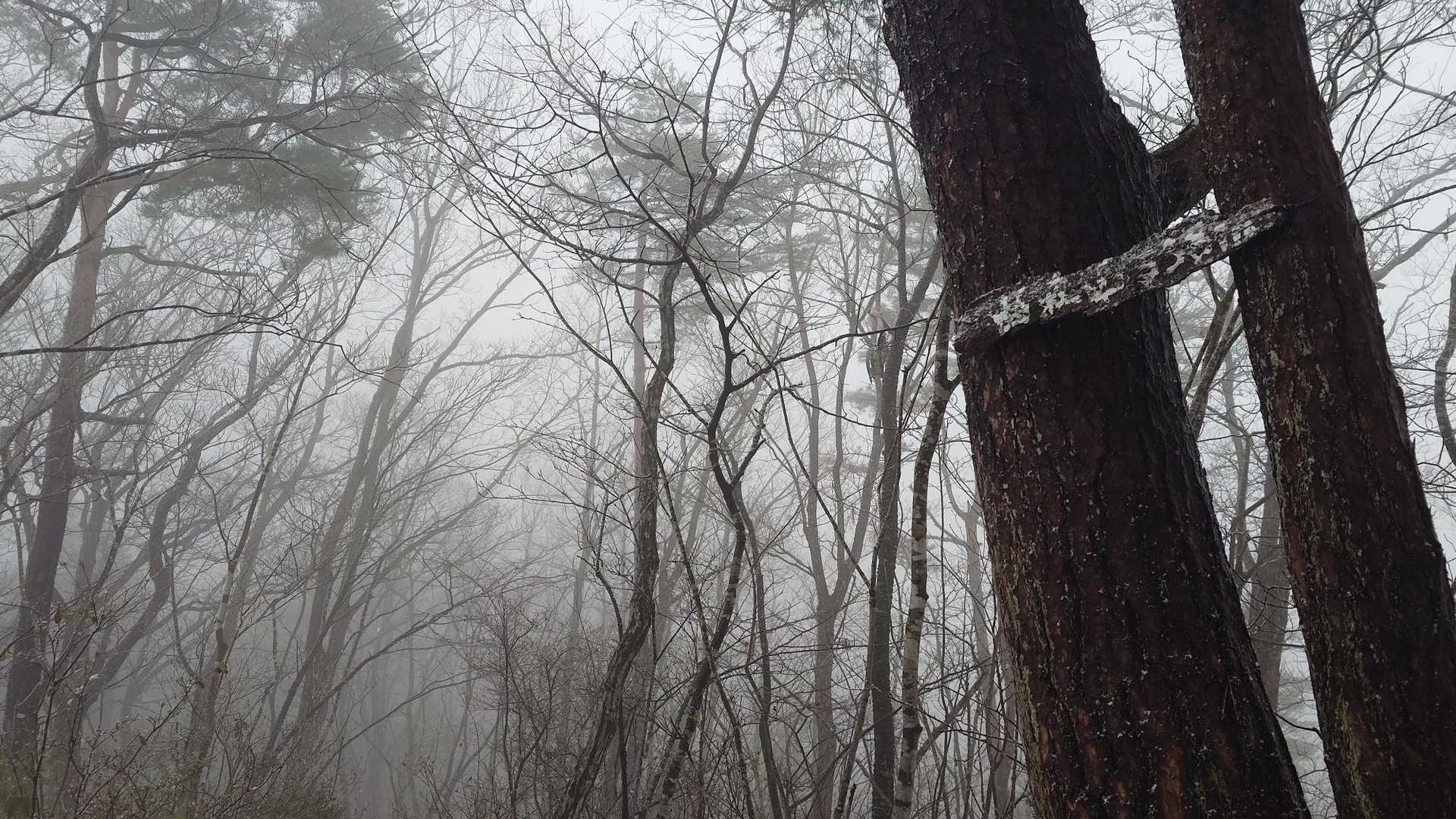 曲森山🏔️に着きました。
日の入りに間に合わないので戻ります。