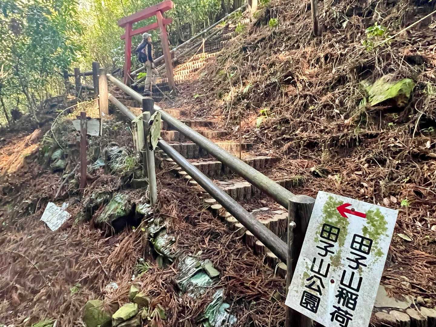 まずは田子山稲荷へ⛩️✨
ここから結構階段多めです...😱