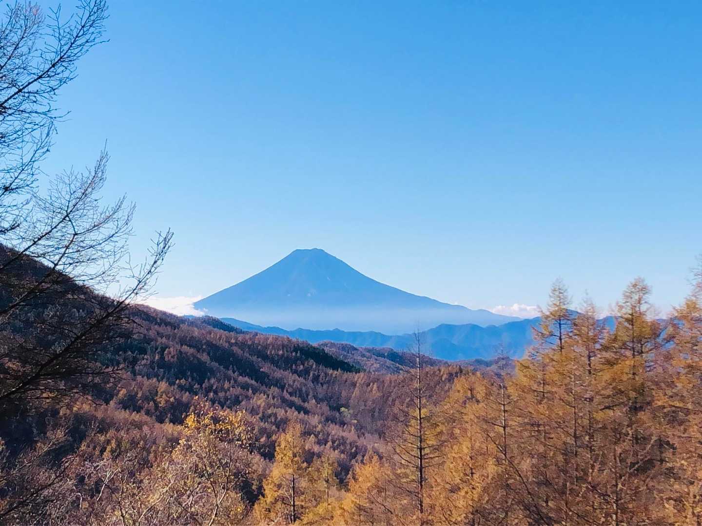 わーい、これが見たかったんです☺️✨