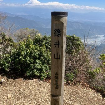山頂は狭めでベンチがひとつ
