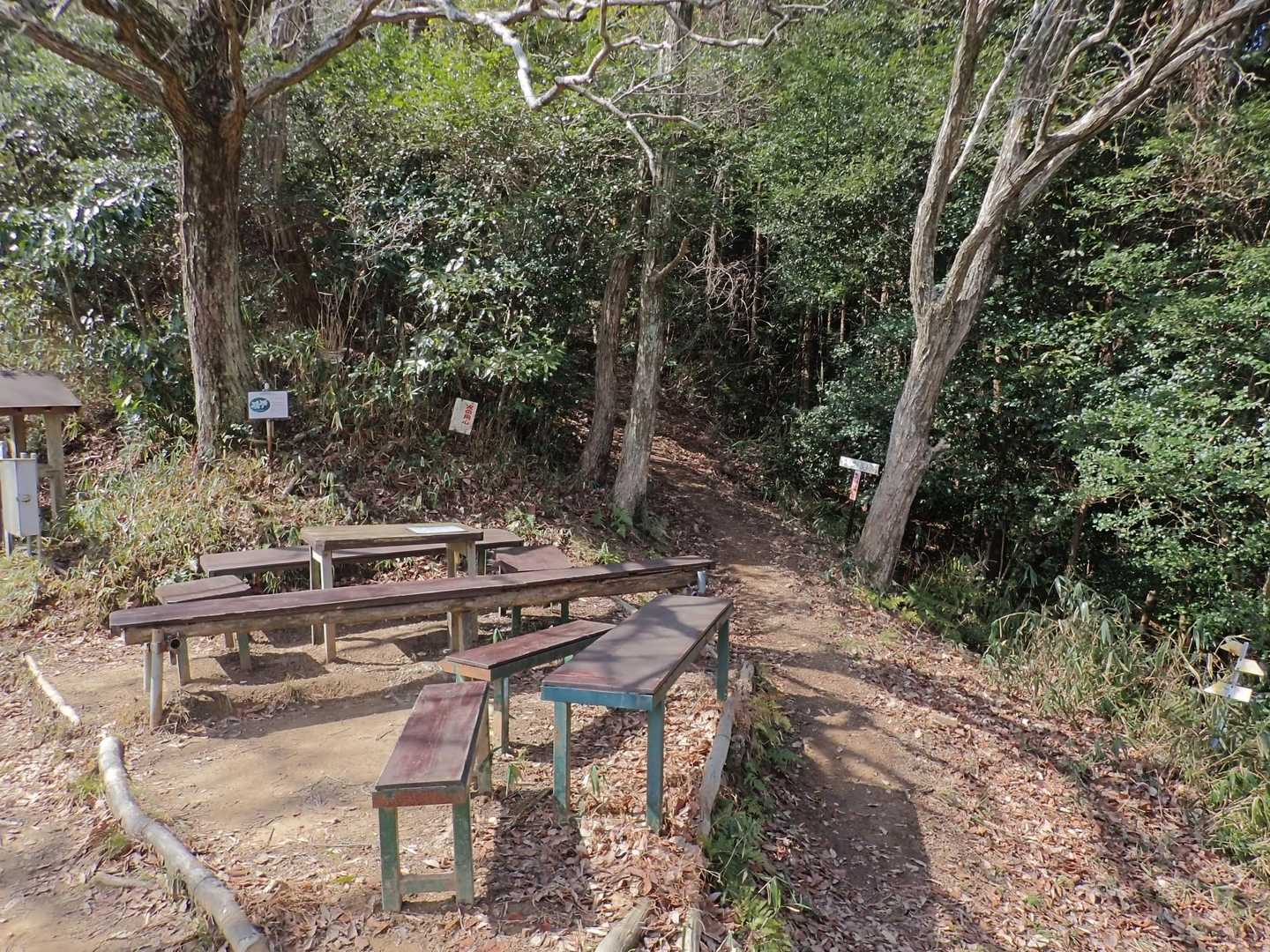 奥辺峠に到着⛰️
このエリアは本当にベンチが多い👀