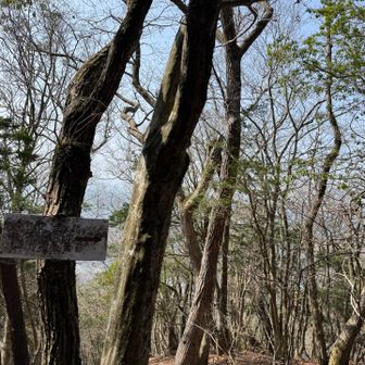 空は春霞でパステルカラー🩵