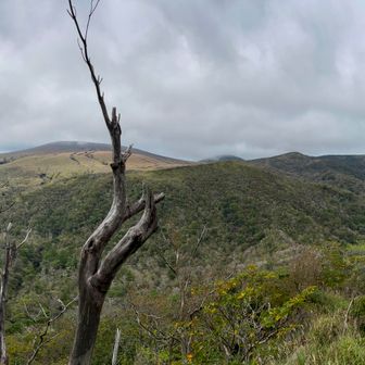 中岳・新燃岳・獅子戸岳・大幡山・大幡前山。