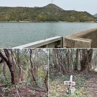 ウチノ海の静かな入江を🚲スイスイ　野田山(198mP△大谷)繰り返す急登…所要時間45分🥵