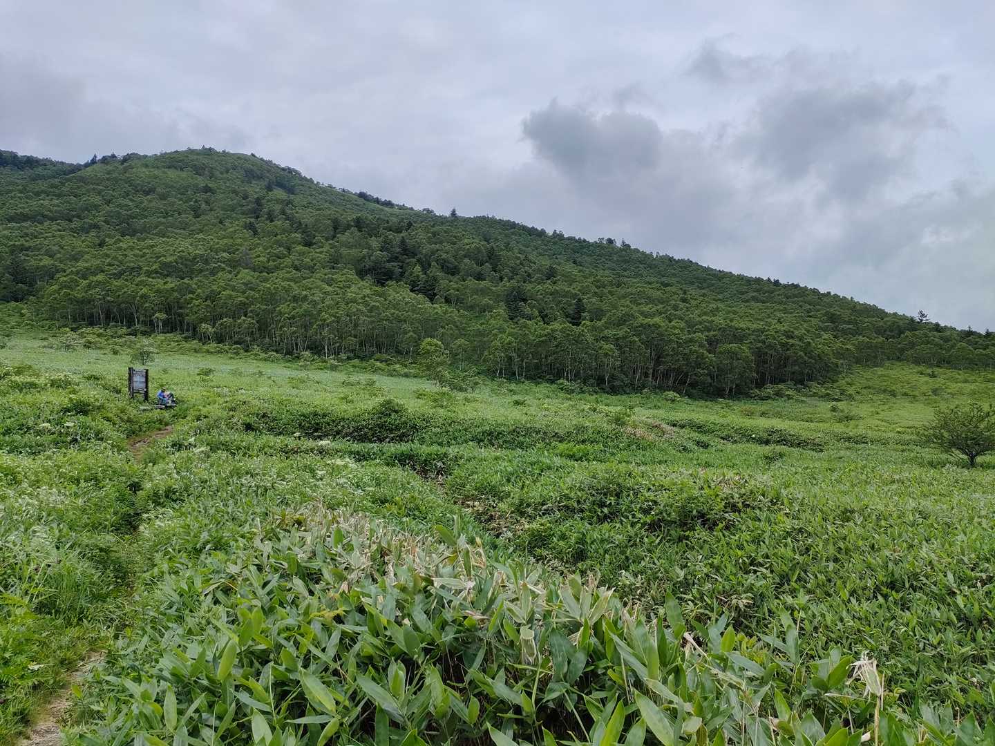 野反湖キャンプ場管理事務所-野反ダム-白砂山登山口-八間山 周回コースの写真