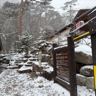 12本爪アイゼン着けて