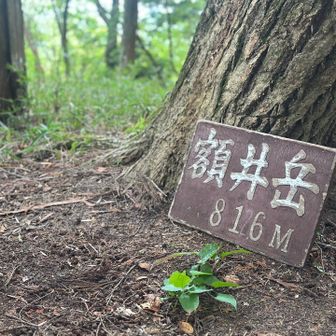 眺望は…無かったような🤔