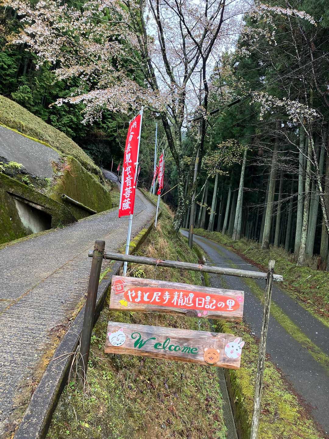 下居バス停-善法寺-経ヶ塚山-経ヶ塚山登り口 縦走コースの写真