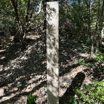 ここから山頂は道が分かりにくかった。