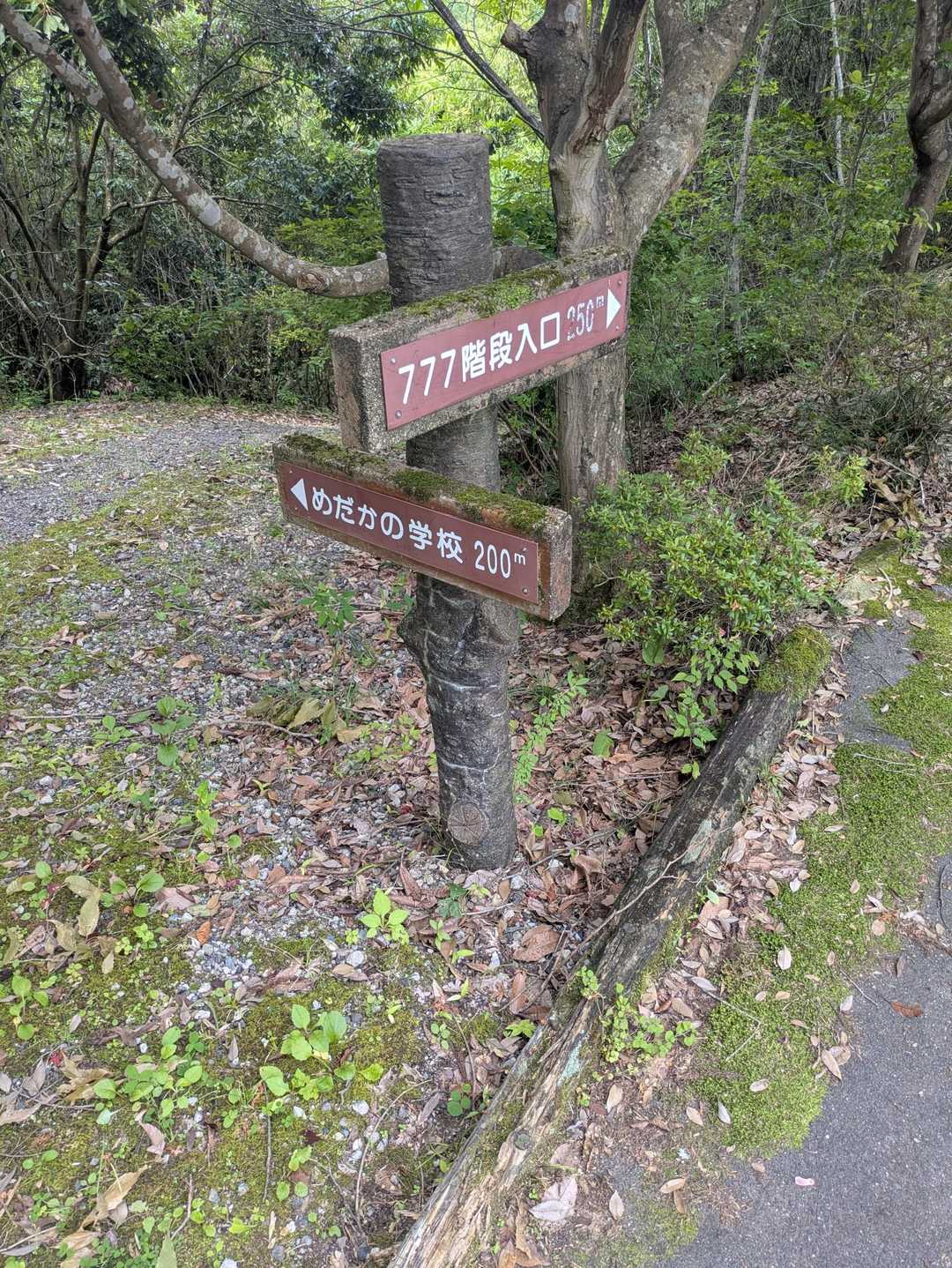 ７７７段😵