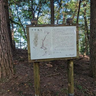 城山の案内版だけ