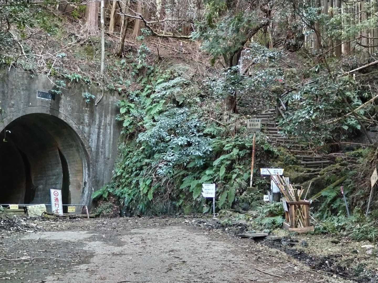 トンネルの手前右手を行く
転ばぬ先の杖杖を一本拝借